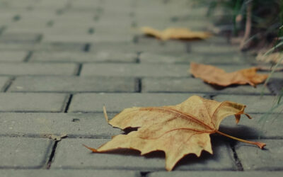 Malmesbury Brick Paving